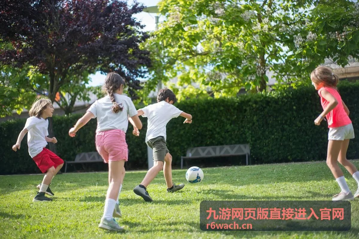 九游网页版直接进入官网常见问题排查封面