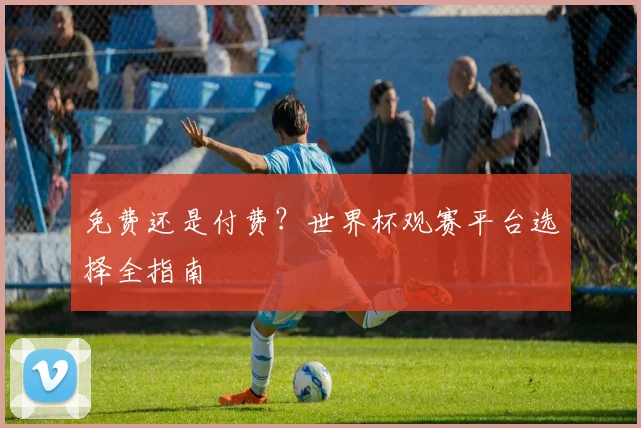免费还是付费？世界杯观赛平台选择全指南