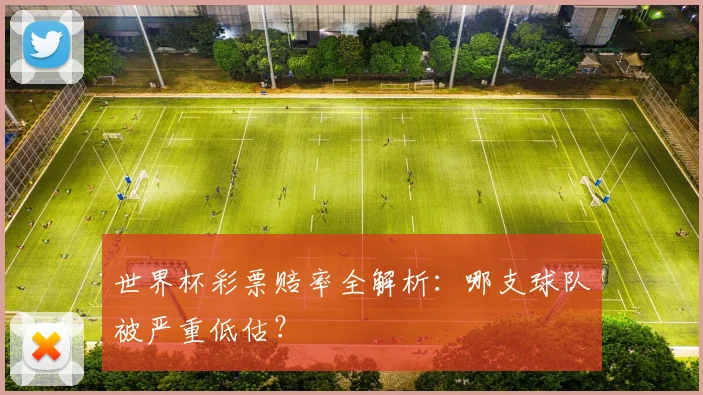世界杯彩票赔率全解析:哪支球队被严重低估?