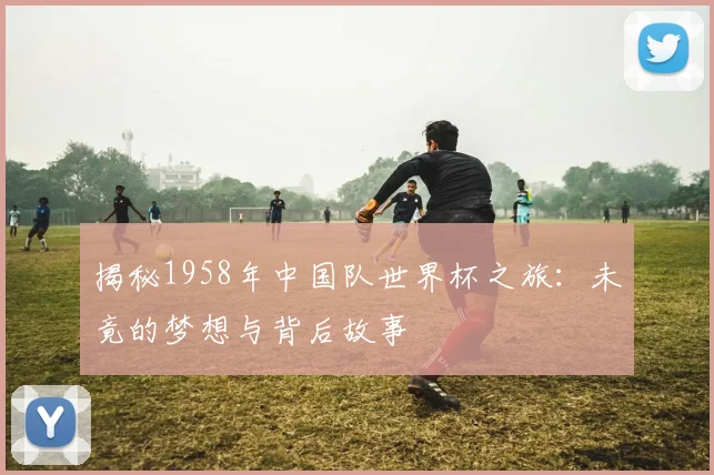 揭秘1958年中国队世界杯之旅：未竟的梦想与背后故事