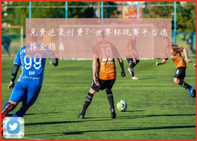 免费还是付费？世界杯观赛平台选择全指南