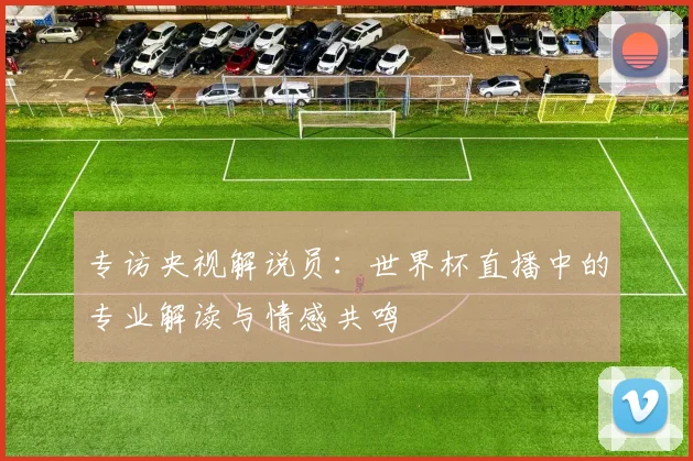 专访央视解说员：世界杯直播中的专业解读与情感共鸣